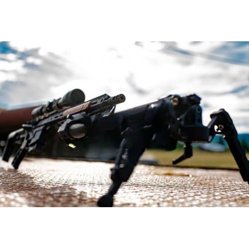 Шасси для сошек BipodeXt ARC II ARCA Swiss Rail Dual Mount